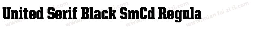 United Serif Black SmCd Regular字体转换